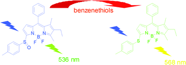 Graphical abstract: Design of a ratiometric fluorescent probe for benzenethiols based on a thiol–sulfoxide reaction