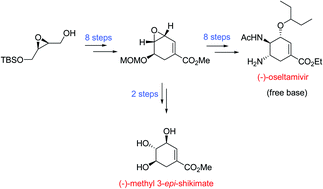 Graphical abstract: Synthesis of the anti-influenza agent (−)-oseltamivir free base and (−)-methyl 3-epi-shikimate
