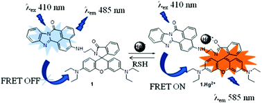 Graphical abstract: FRET-based ratiometric detection of Hg2+ and biothiols using naphthalimide–rhodamine dyads