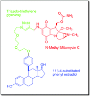 Graphical abstract: Convergent synthesis of a steroidal antiestrogen-mitomycin C hybrid using “click” chemistry