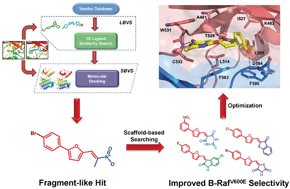 Graphical abstract: Development of a novel class of B-RafV600E-selective inhibitors through virtual screening and hierarchical hit optimization