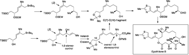 Graphical abstract: Total synthesis of epothilones using functionalised allylstannanes for remote stereocontrol