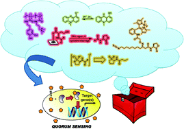 Graphical abstract: Chemical methods to interrogate bacterial quorum sensing pathways