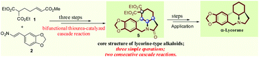 Graphical abstract: Concise construction of the tetracyclic core of lycorine-type alkaloids and the formal synthesis of α-lycorane based on asymmetric bifunctional thiourea-catalyzed cascade reaction