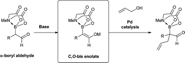 Graphical abstract: Chemoselective palladium-catalyzed α-allylation of α-boryl aldehydes