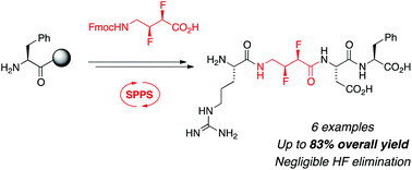 Graphical abstract: Solid phase synthesis of peptides containing backbone-fluorinated amino acids