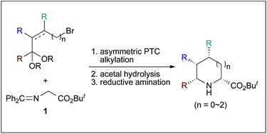 Graphical abstract: Stereoselective synthesis of cyclic amino acids via asymmetric phase-transfer catalytic alkylation