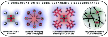 Graphical abstract: Bioconjugation on cube-octameric silsesquioxanes
