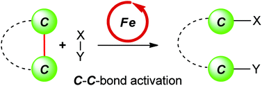 Graphical abstract: Iron-catalysed carbon–carbon single bond activation