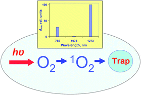 Graphical abstract: Photochemical investigation of the IR absorption bands of molecular oxygen in organic and aqueous environment