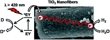Graphical abstract: Titania nanofibers as a photo-antenna for dye-sensitized solar hydrogen