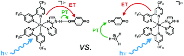 Graphical abstract: Photochemistry between a ruthenium(ii) pyridylimidazole complex and benzoquinone: simple electron transfer versus proton-coupled electron transfer