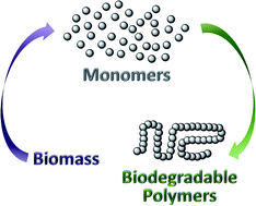 Graphical abstract: Synthesis of biodegradable polymers from renewable resources