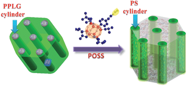 Graphical abstract: Hierarchical self-assembly structures of POSS-containing polypeptide block copolymers synthesized using a combination of ATRP, ROP and click chemistry