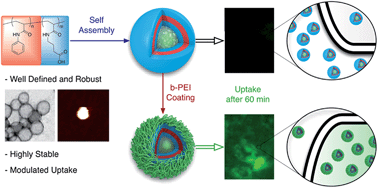 Graphical abstract: Well-defined polymeric vesicles with high stability and modulation of cell uptake by a simple coating protocol