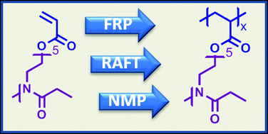 Graphical abstract: Unexpected radical polymerization behavior of oligo(2-ethyl-2-oxazoline) macromonomers