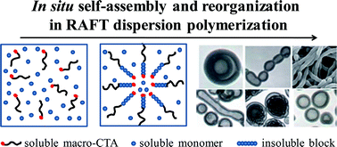 Graphical abstract: Recent advances in RAFT dispersion polymerization for preparation of block copolymer aggregates