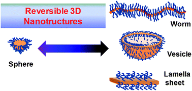 Graphical abstract: Reversible polymer nanostructures by regulating SDS/PNIPAM binding