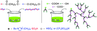 Graphical abstract: Synthesis of linear and hyperbranched polyesters in Brønsted acid ionic liquids