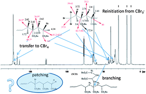 Graphical abstract: Polymerization of n-butyl acrylate with high concentration of a chain transfer agent (CBr4): detailed characterization and impact on branching