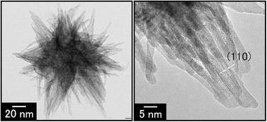 Graphical abstract: Hydrothermal synthesis of flower-like SnO2 particles consisting of single-crystalline nanorods through crystal growth in the presence of poly(acrylic acid)