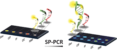 Graphical abstract: Universal protocol for grafting PCR primers onto various lab-on-a-chip substrates for solid-phase PCR