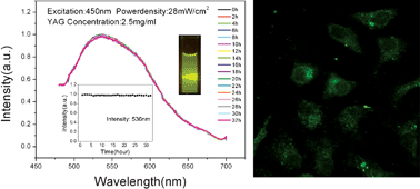Graphical abstract: Non-photobleaching YAG:Ce nanoparticles for optical imaging with blue excitation