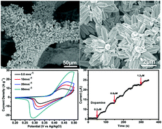 Graphical abstract: Hybrid structure of zinc oxide nanorods and three dimensional graphene foam for supercapacitor and electrochemical sensor applications