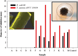 Graphical abstract: Multifunctional silver coated E-33/iron oxide water filters: Inhibition of biofilm growth and arsenic removal