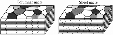 Graphical abstract: Hierarchical structure and mechanical properties of nacre: a review