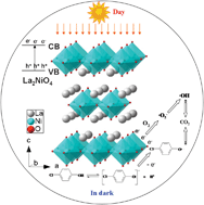 Graphical abstract: An efficient round-the-clock La2NiO4 catalyst for breaking down phenolic pollutants
