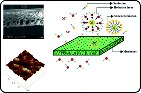 Graphical abstract: Structure-property interplay of poly(amide-imide) and TiO2 nanoparticles impregnated poly(ether-sulfone) asymmetric nanofiltration membranes