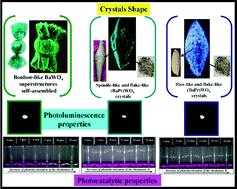 Graphical abstract: Structural refinement, growth process, photoluminescence and photocatalytic properties of (Ba1-xPr2x/3)WO4 crystals synthesized by the coprecipitation method