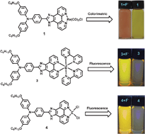Graphical abstract: Highly selective colorimetric and fluorescent sensors for the fluoride anion based on imidazo[4,5-f]-1,10-phenanthroline metal-complexes