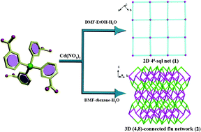 Graphical abstract: Solvent-controlled Cd(ii) metal–organic frameworks constructed from a tetrapodal silicon-based linker