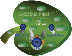 Graphical abstract: Medicinal plant acid-treatment for a healthier herb tea and recycling of the spent herb residue