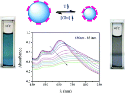 Graphical abstract: Assembling of gold nanorods on P(NIPAM–AAPBA) microgels: a large shift in the plasmon band and colorimetric glucose sensing