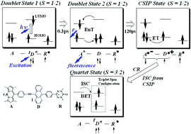 Graphical abstract: Ultrafast photoexcitation dynamics of π-conjugated bodipy-anthracene-radical triad system