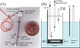 Graphical abstract: DEMS-monitoring liquid | gas interfacial ammonia oxidation at carbon nanofibre membranes