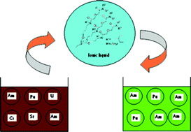 Graphical abstract: Extraction of Am(iii) using novel solvent systems containing a tripodal diglycolamide ligand in room temperature ionic liquids: a ‘green’ approach for radioactive waste processing