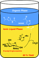 Graphical abstract: Formation of a renewable amide, 3-acetamido-5-acetylfuran, via direct conversion of N-acetyl-d-glucosamine