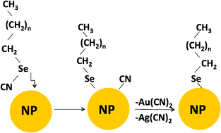 Graphical abstract: Synthesis of Au and Ag nanoparticles with alkylselenocyanates