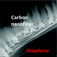 Graphical abstract: Hybrid 3D graphene and aligned carbon nanofiber array architectures