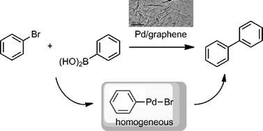 Graphical abstract: Recyclable Pd–graphene catalyst: mechanistic insights into heterogeneous and homogeneous catalysis