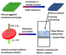 Graphical abstract: Fibrous NiO/CeO2 nanocatalysts for the partial oxidation of methane at microsecond contact times