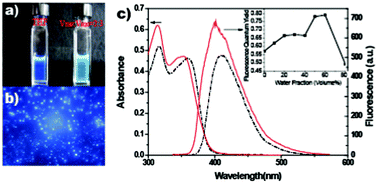 Graphical abstract: Bright fluorescent hollow structural nanoparticles prepared from amphiphilic molecules with C2v symmetry