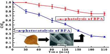 Graphical abstract: Adsorption and photocatalytic degradation of bisphenol A by low-cost carbon nanotubes synthesized using fallen leaves of poplar