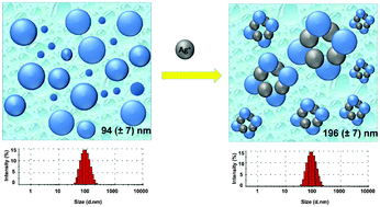Graphical abstract: Fluorescent detection of silver ions in water with organic nano-aggregates