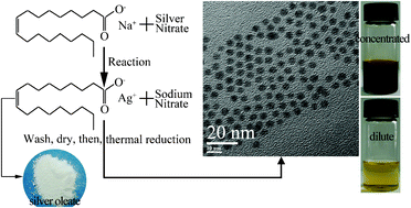 Graphical abstract: Simple and green synthesis of monodisperse silver nanoparticles and surface-enhanced Raman scattering activity