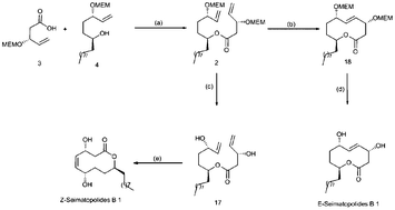 Graphical abstract: First total synthesis of seimatopolide B